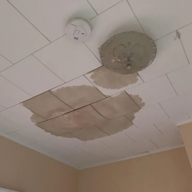 Ceiling Water Damage Repair in Vineland, MN