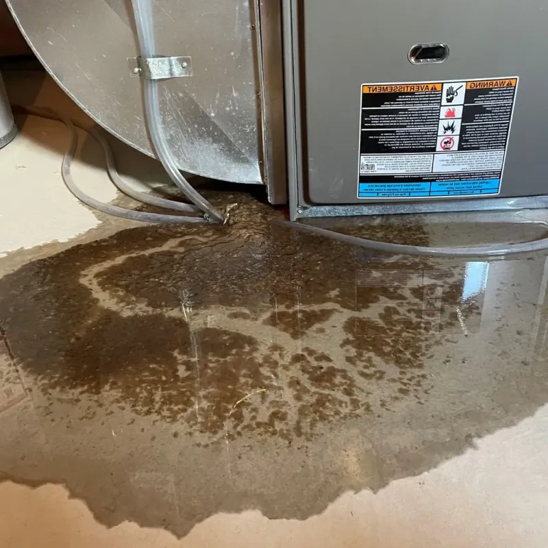 Pipe Burst and Leak Restoration in Vineland, MN